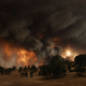 Illustration for article titled Help CA Gov. Jerry Brown Deliver Climate Change Memo To GOP Candidates
